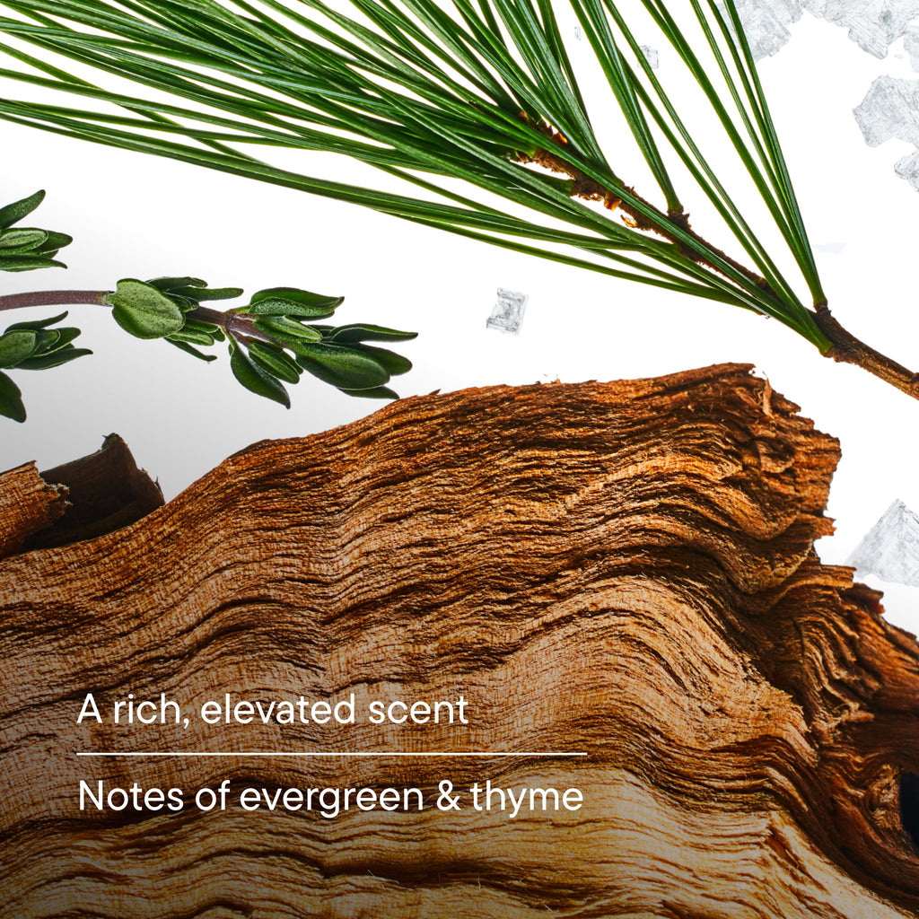 Head to Toe Cleansers - Easy Grooming Routine